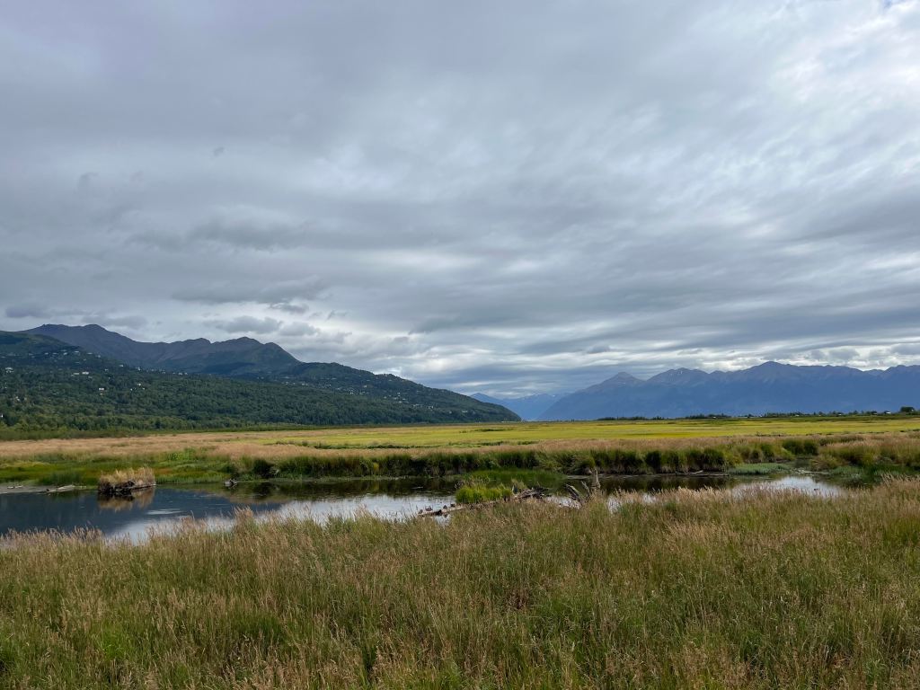 A view looking south over Potter's Marsh in Alaska during late August. Cloudy skies loom over mountains that sit in the distance, towering over the Marsh